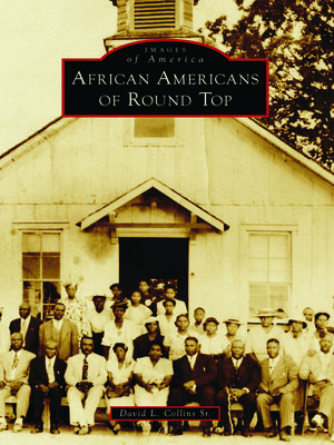 cover image of African Americans of Round Top